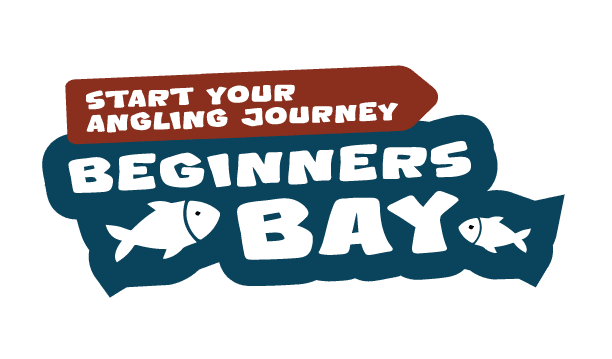BeginnersBay2