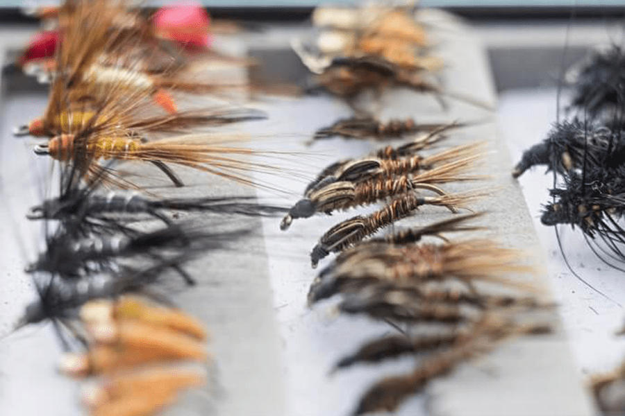 fly fishing event