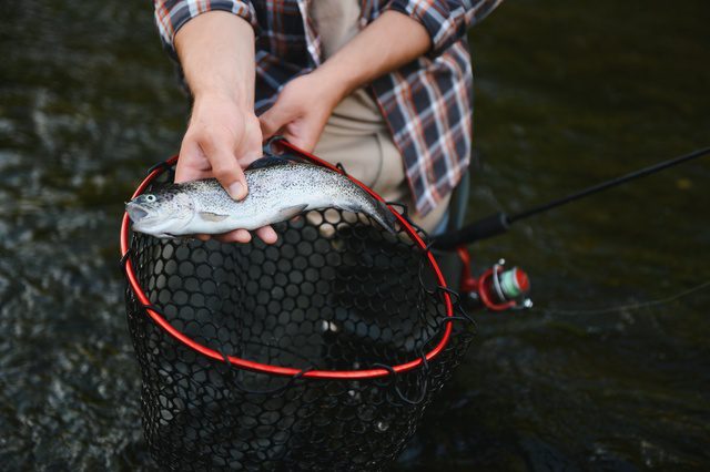 fisherman holding trout