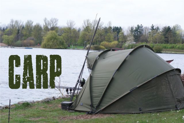 Discipline carp zone 1