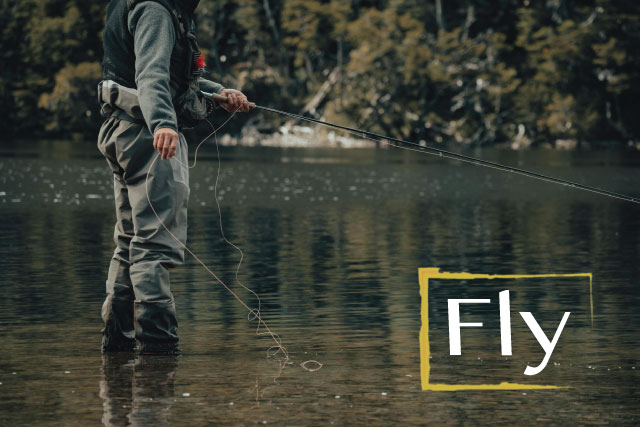 Discipline fly zone 2